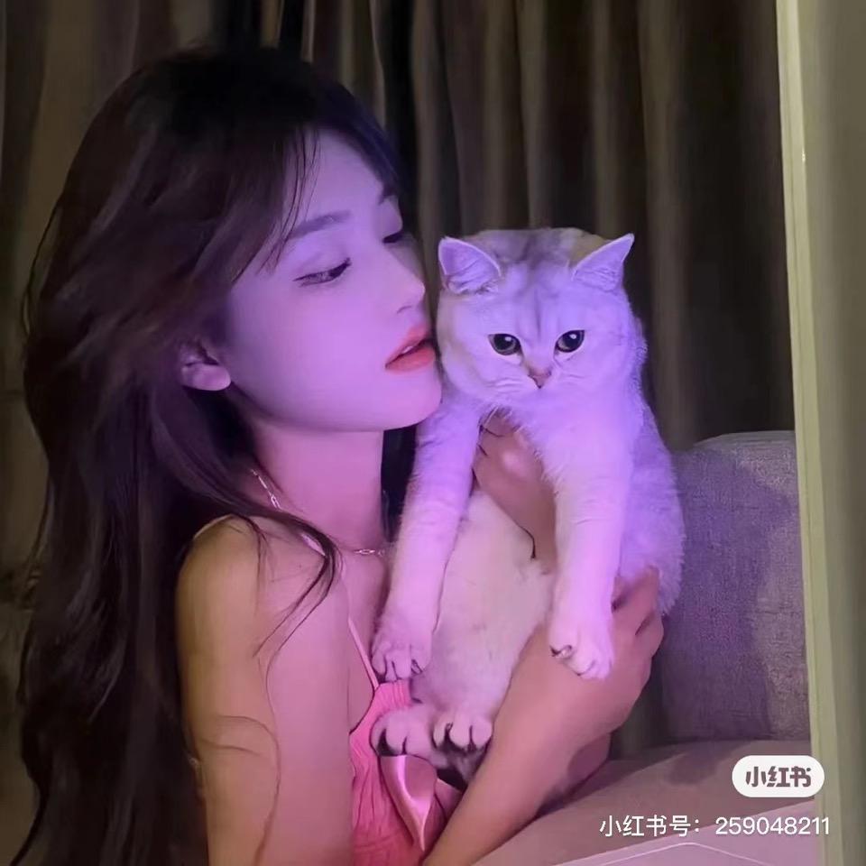 恬芯吖