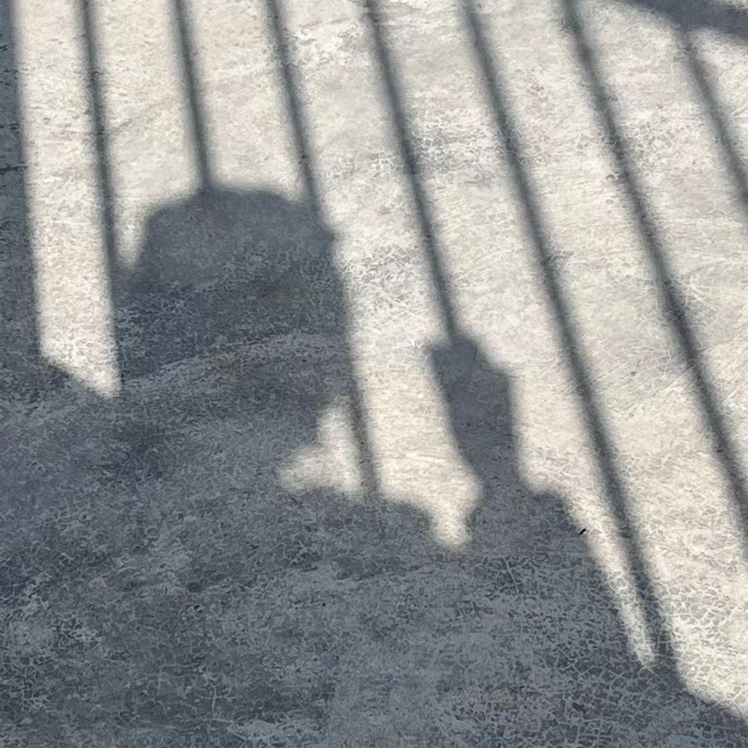 鱼堡蜜桃派