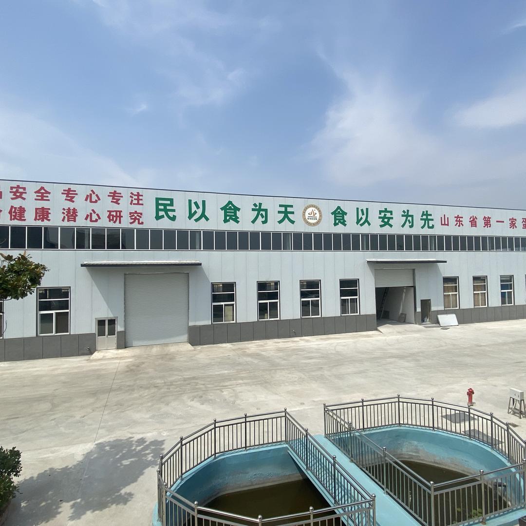 安为先生物