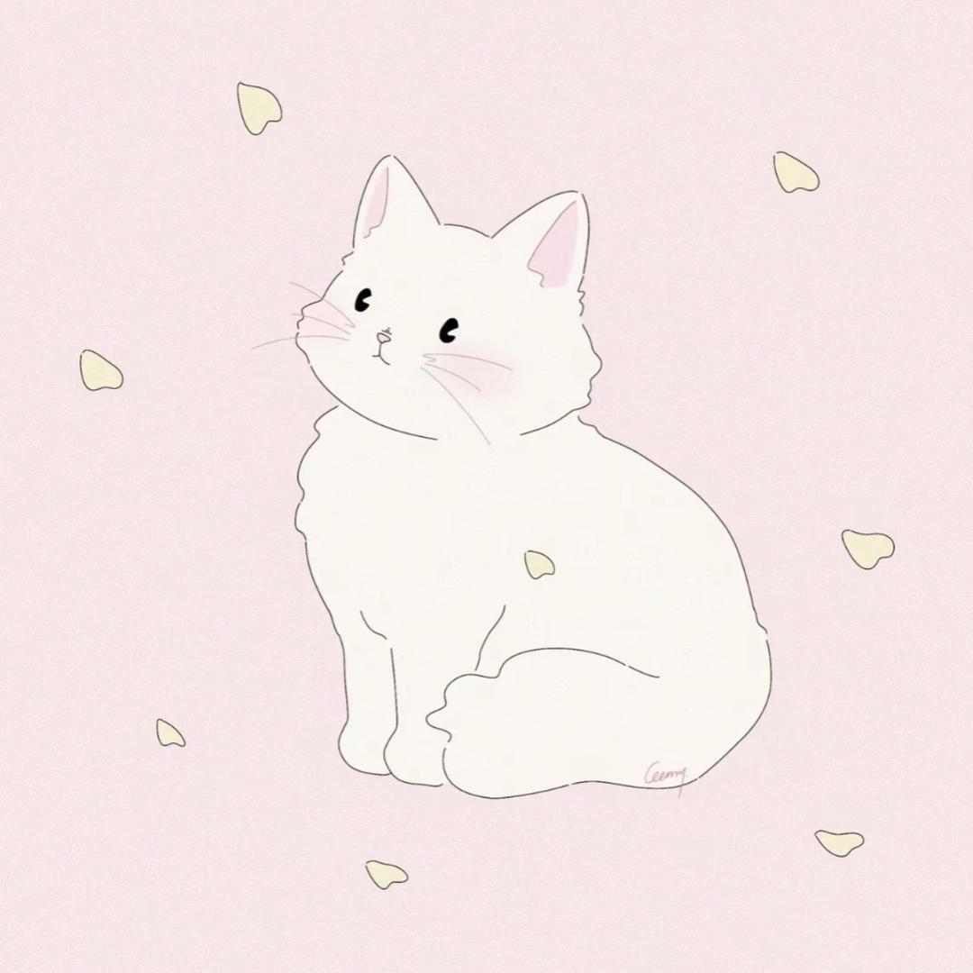安猪啦啦～