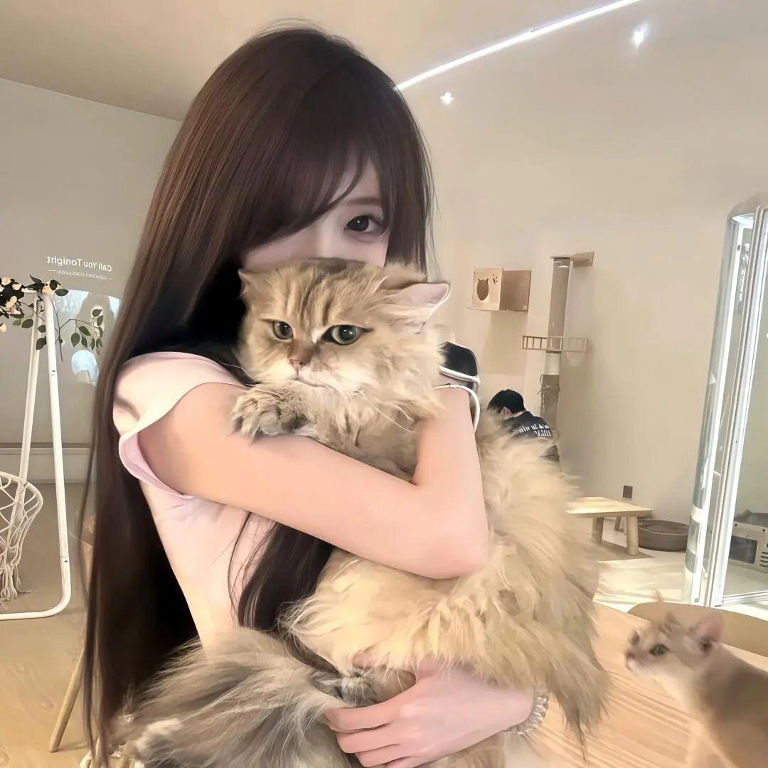 无敌白菜