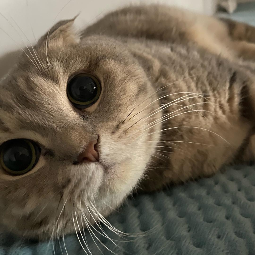 ttttttt