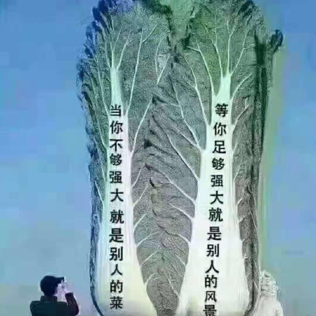 奋斗365