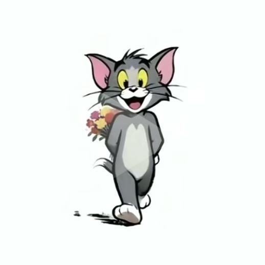 永远不要说永远