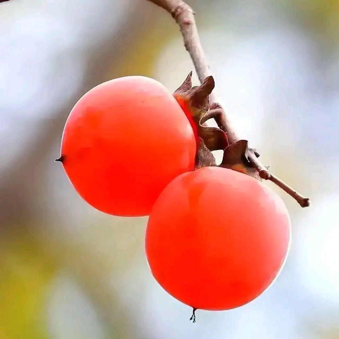 @🇨🇳明天更美好