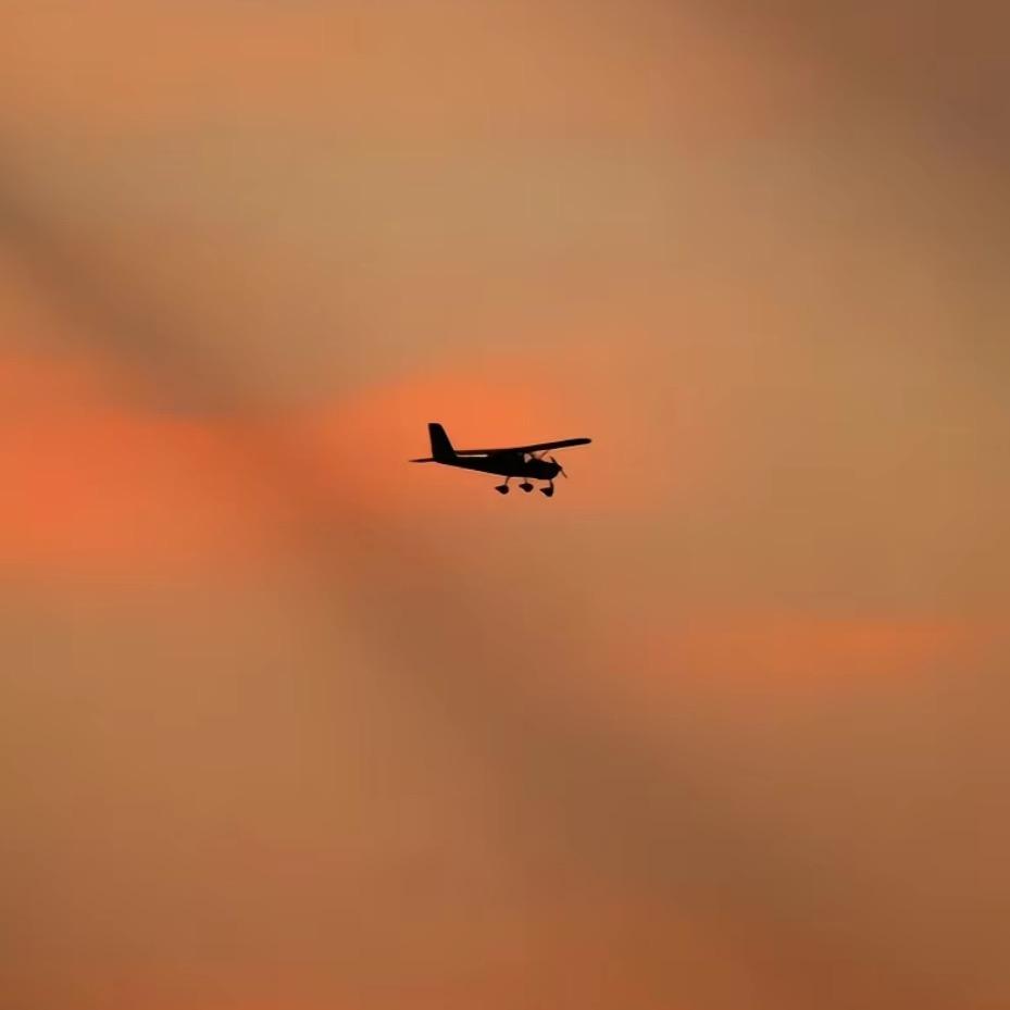 山顶上的一颗草