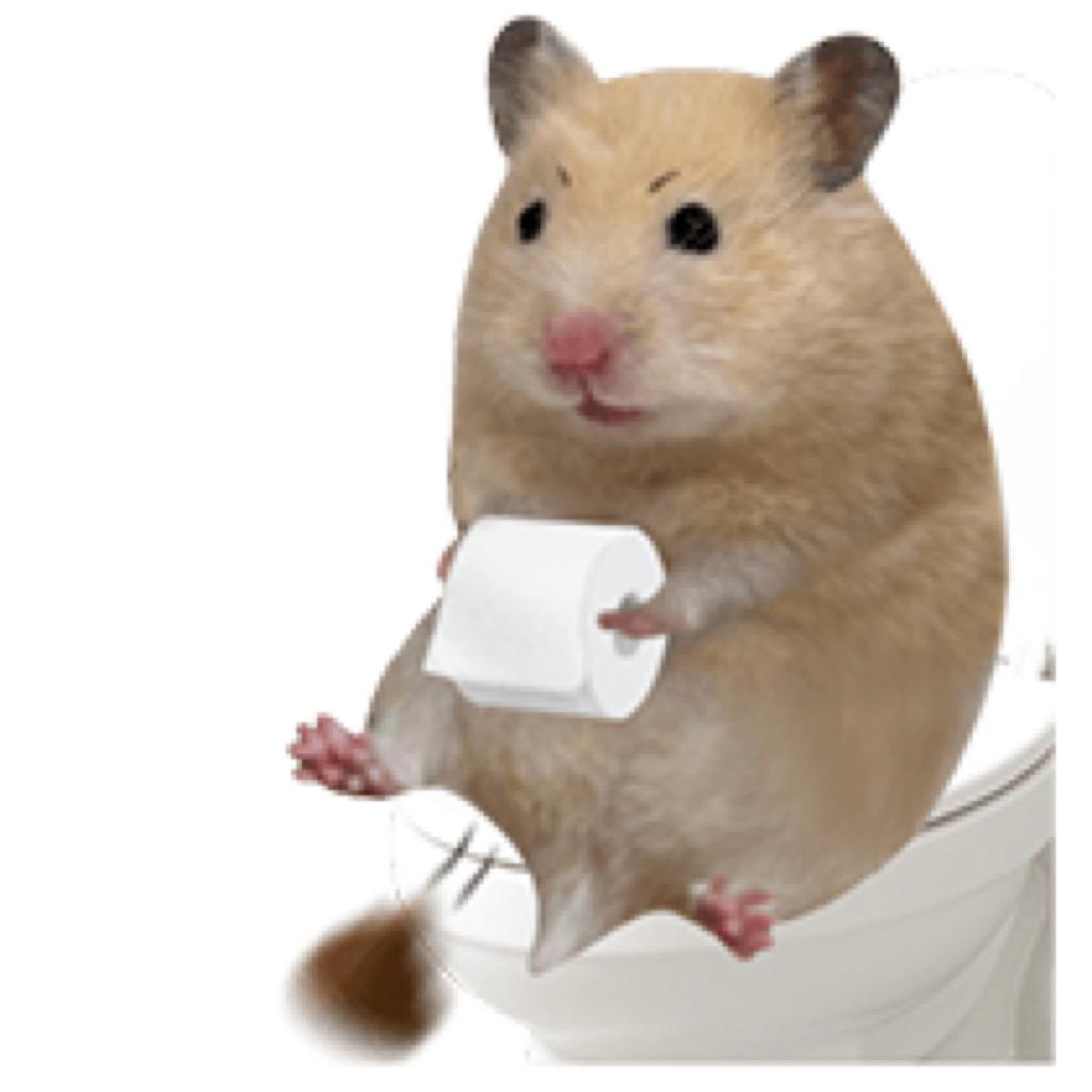 你吃老鼠吗🐭