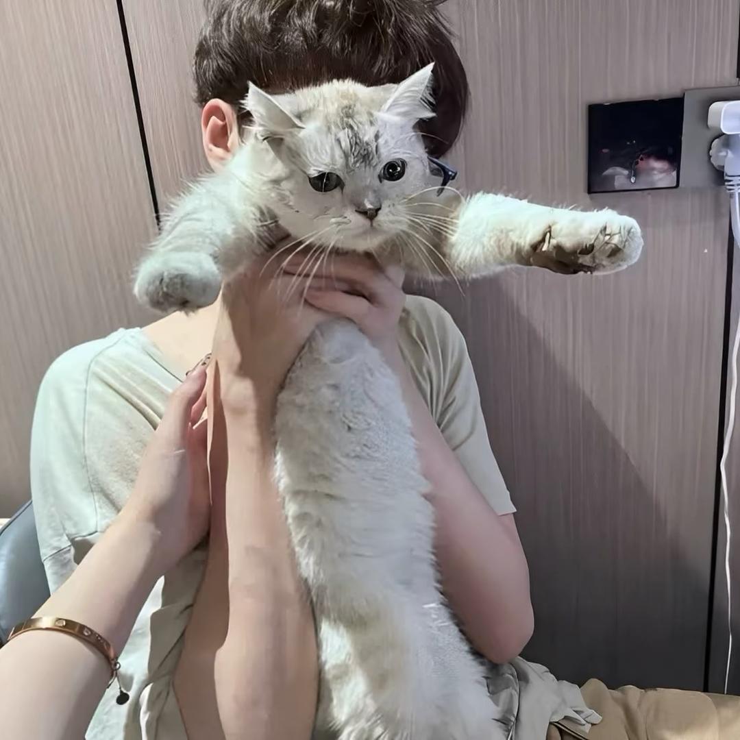 在想谁