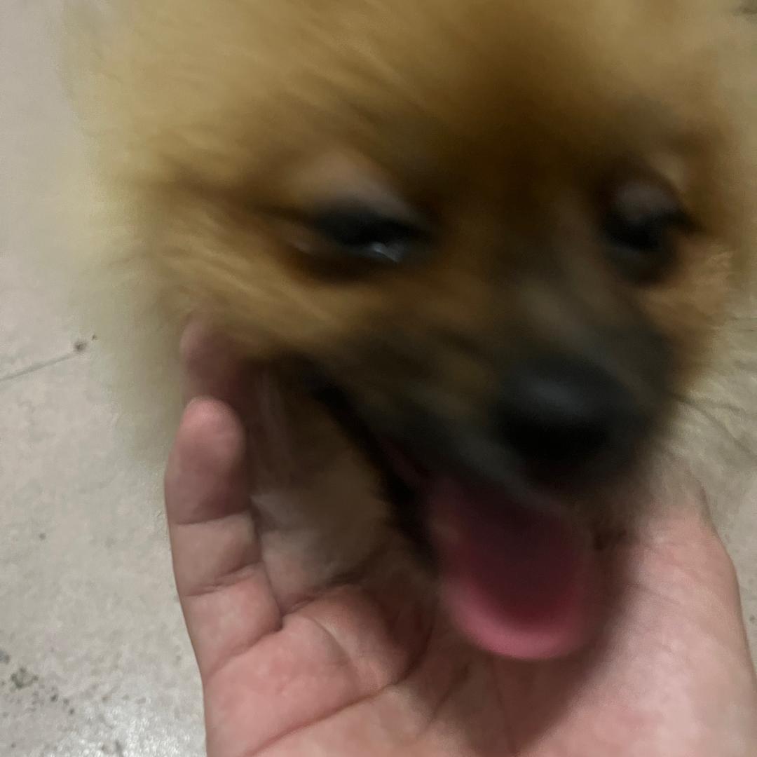 被黑心公司拖欠工资的小牛马（暑假工）