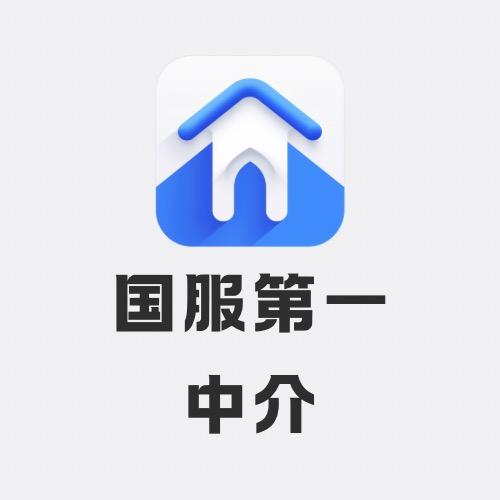 国服最强中介