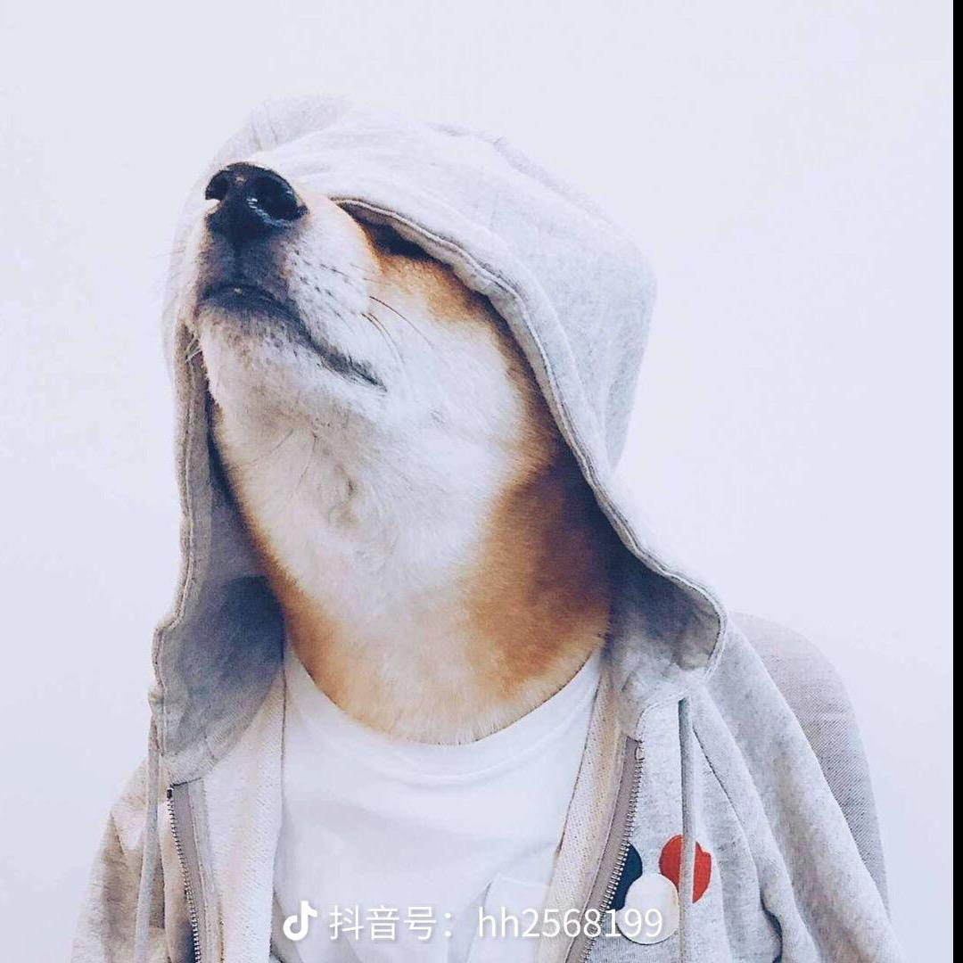 失年
