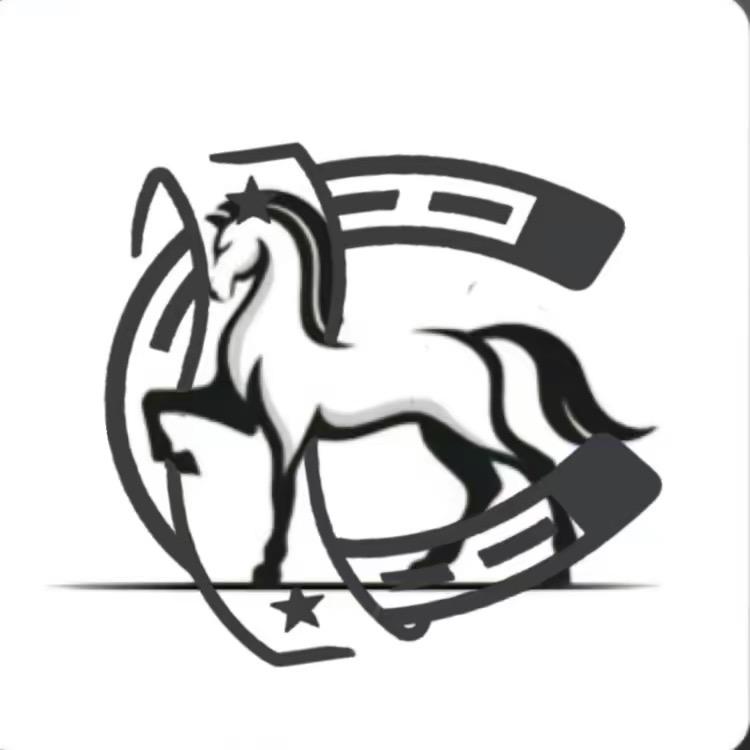 哈萨克马🐴
