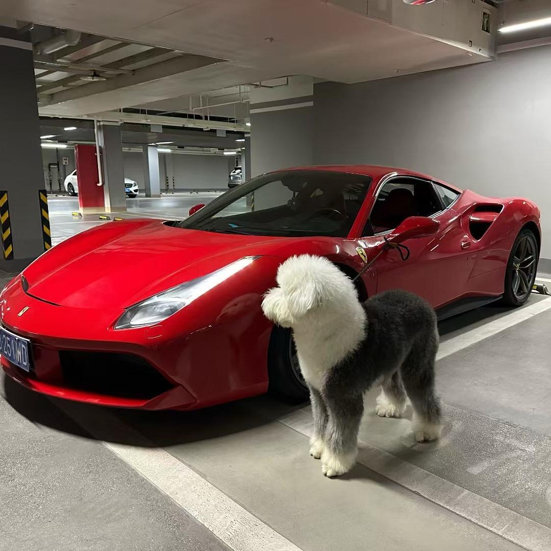 少坤玩车（租满送）