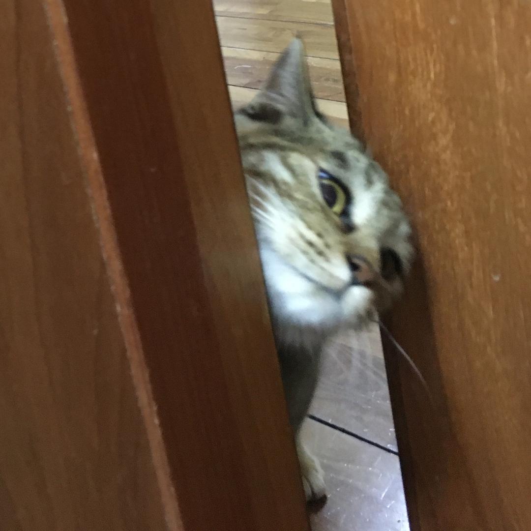 冰冰呀