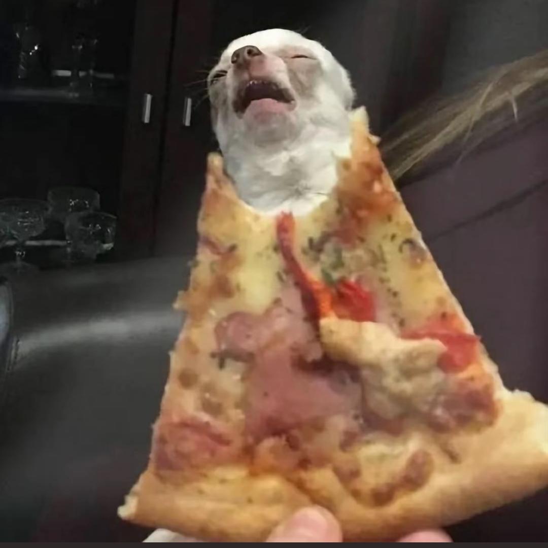 柿子红红火火超级甜