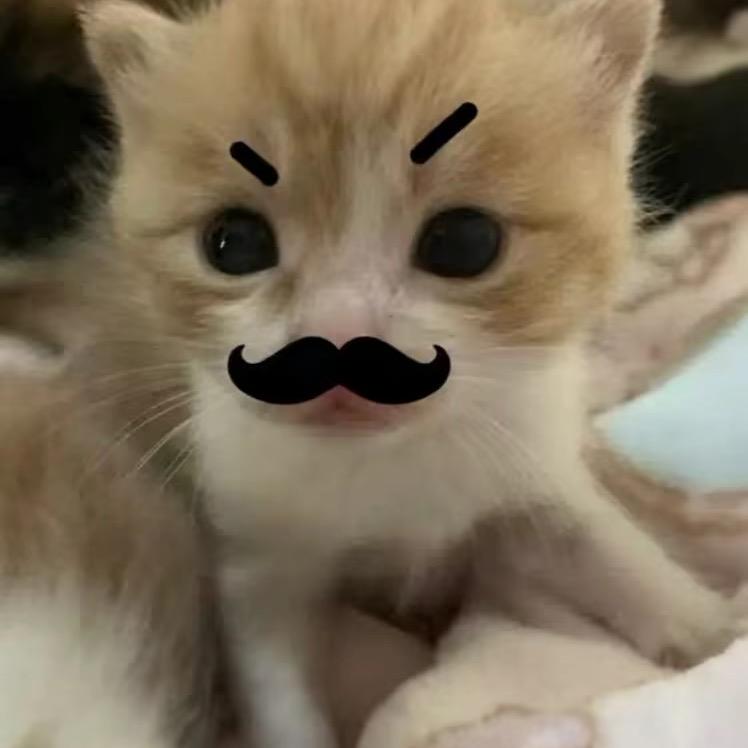 难懂
