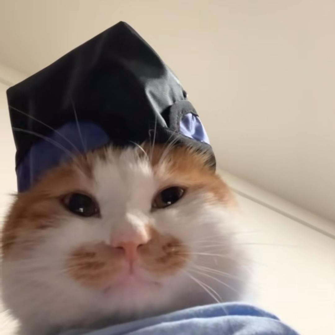 熊小咪