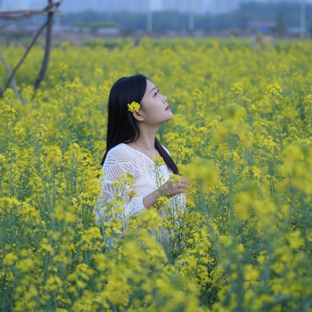张小刀
