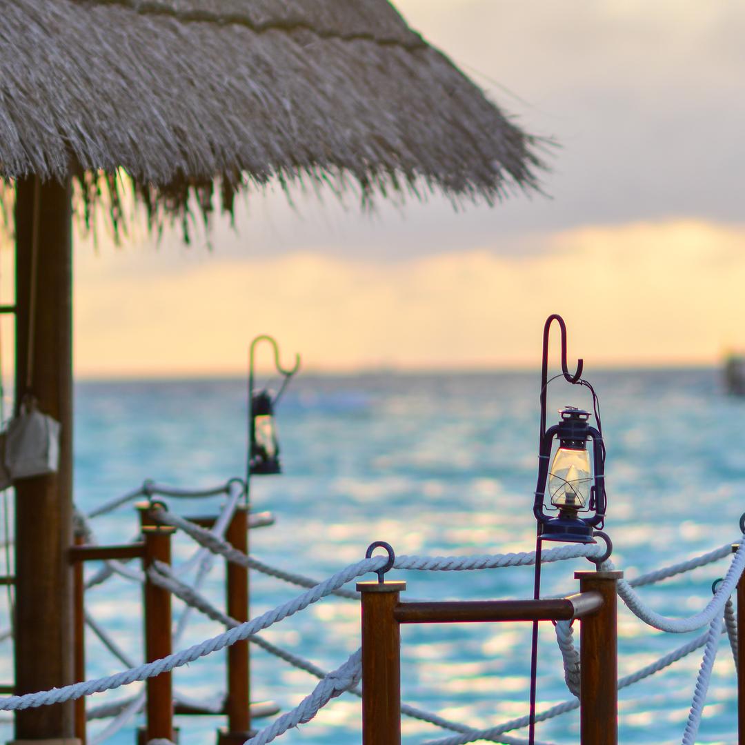 春光明媚（兔）