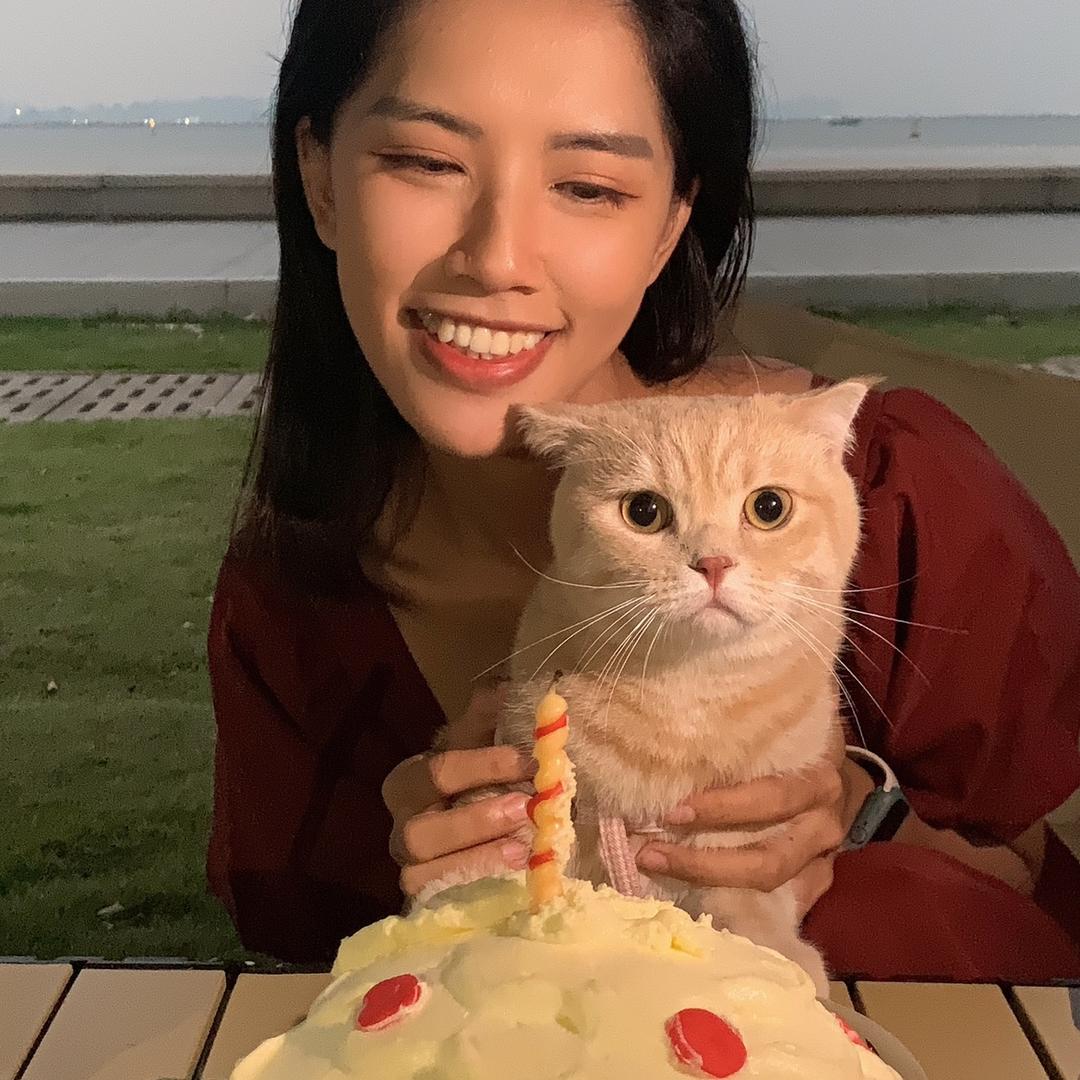 蛋黄派大星