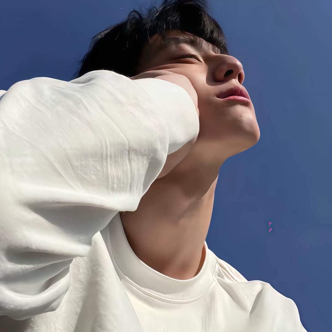 来自网吧的小狼