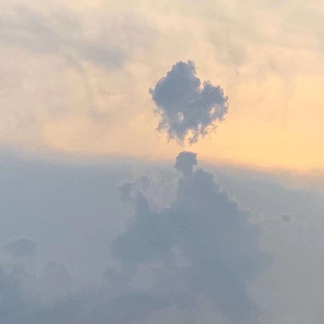 我爱吃土豆