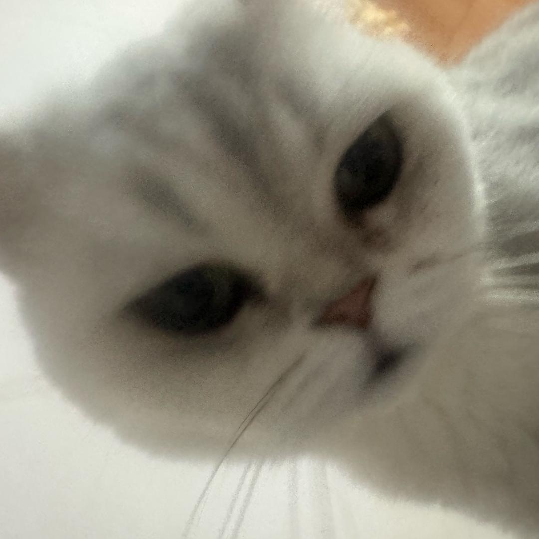 丢丢几点回家