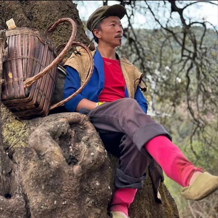 孝道周五三只爪爪