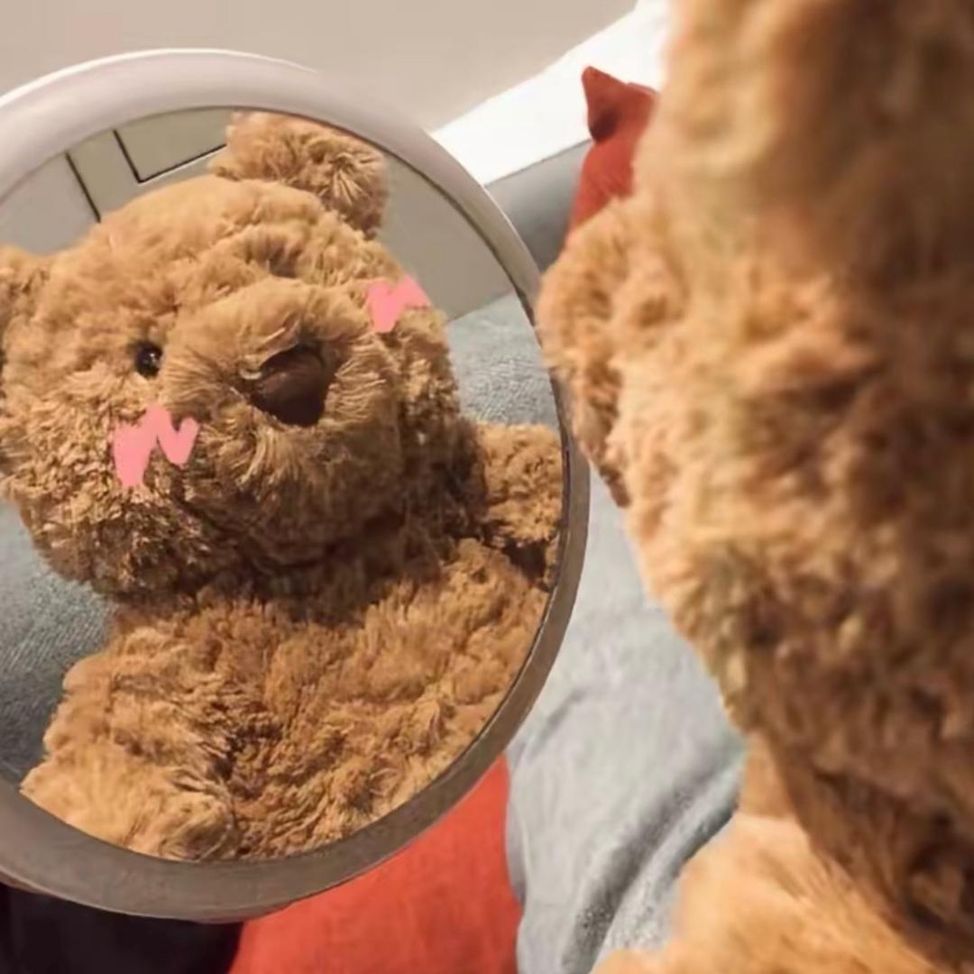 LAura（想🐻版）