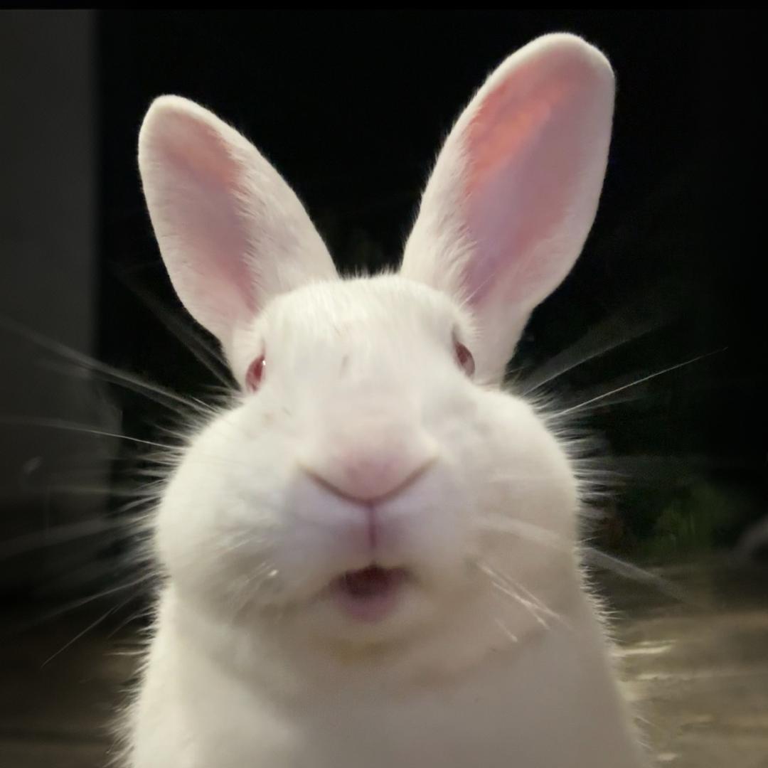 吃我一拳👊🏻