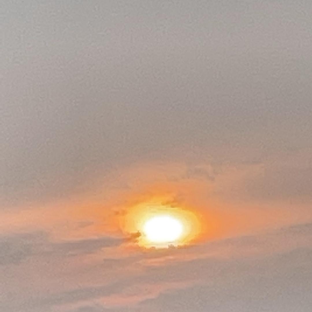 卷