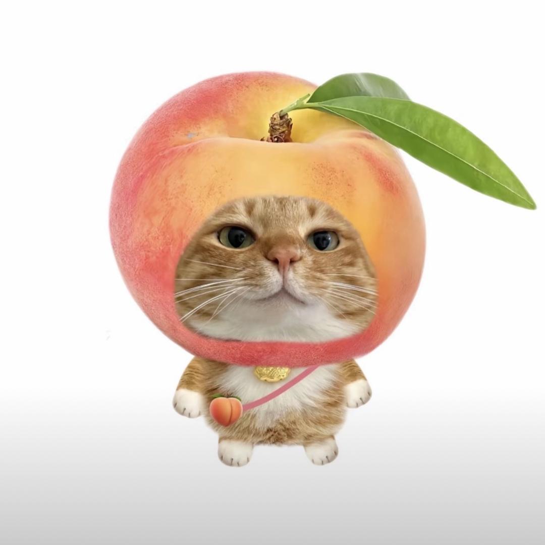 小鱼快快游
