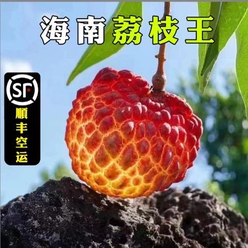 海南水果生活坊