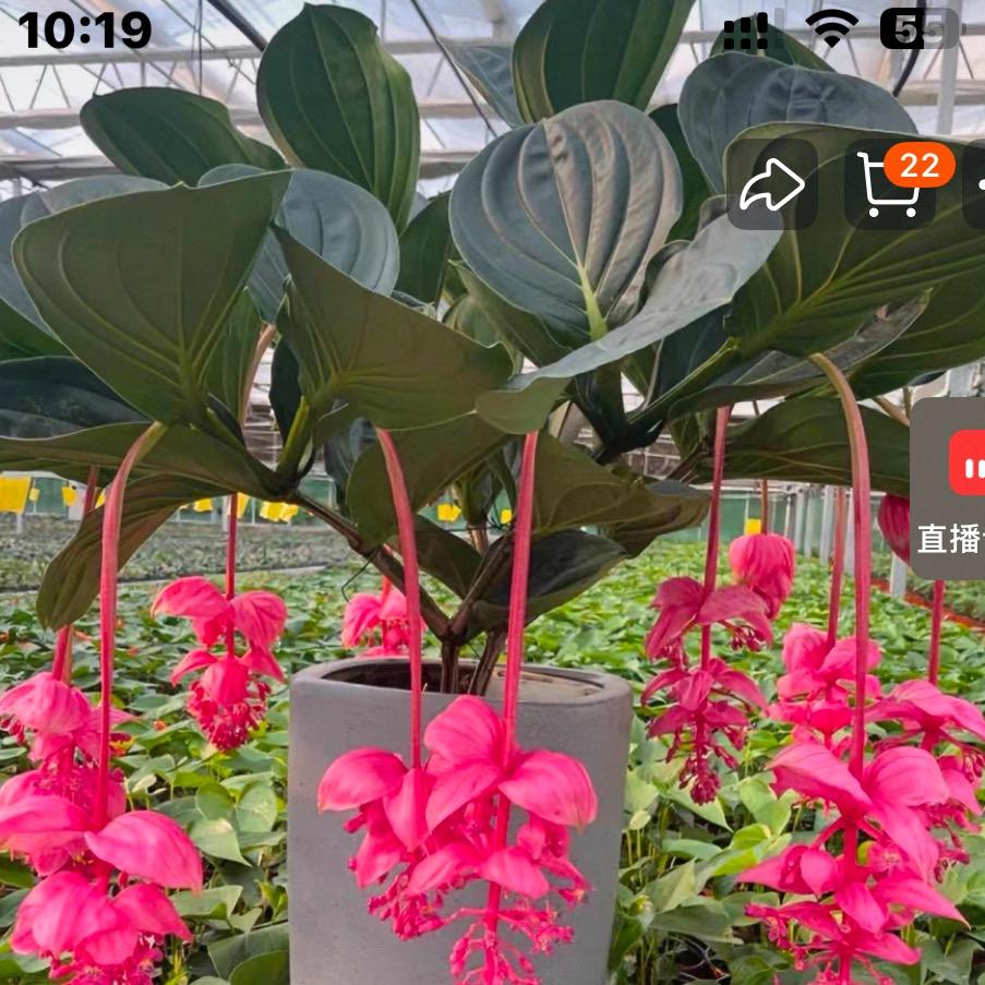 💐缘分🍒