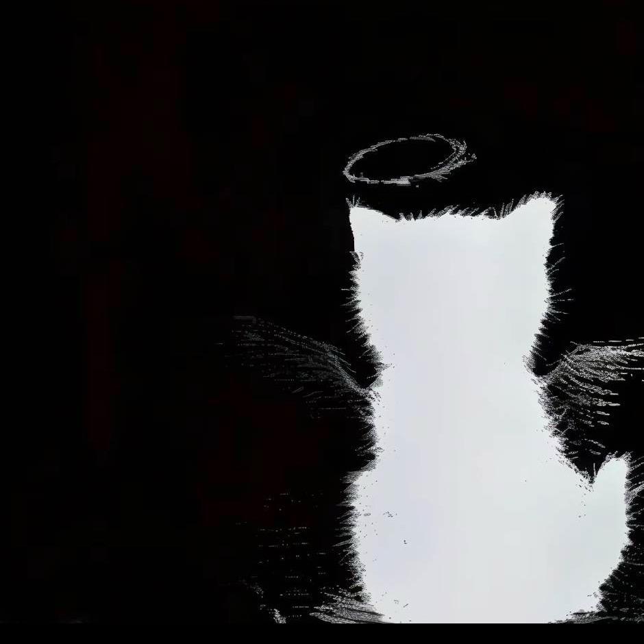 淳安