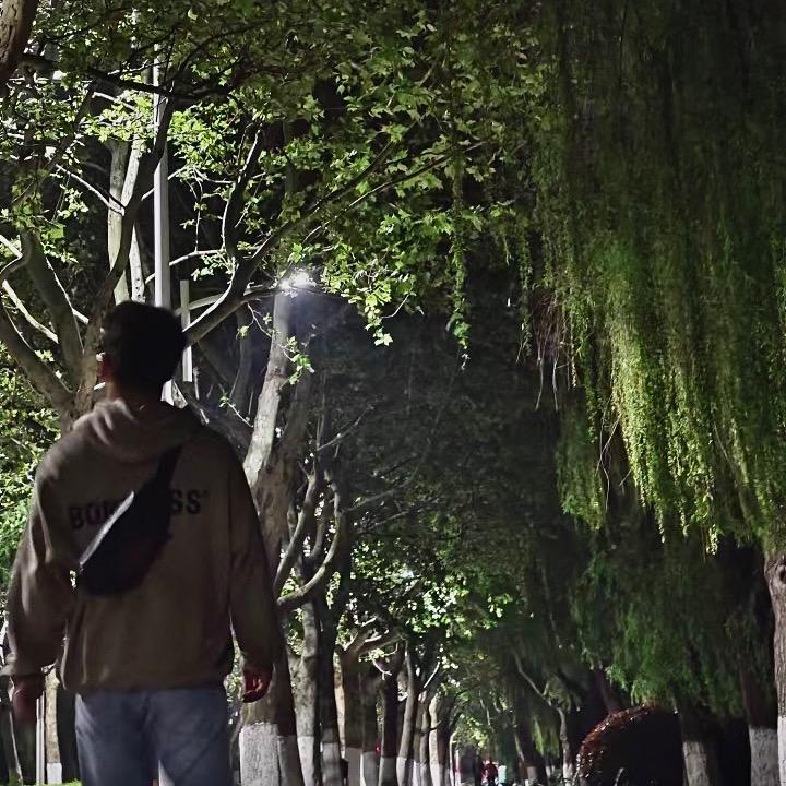 不喝8+1