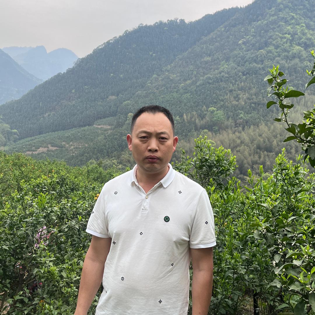 广西三农韦哥(广西纯甜百香果)