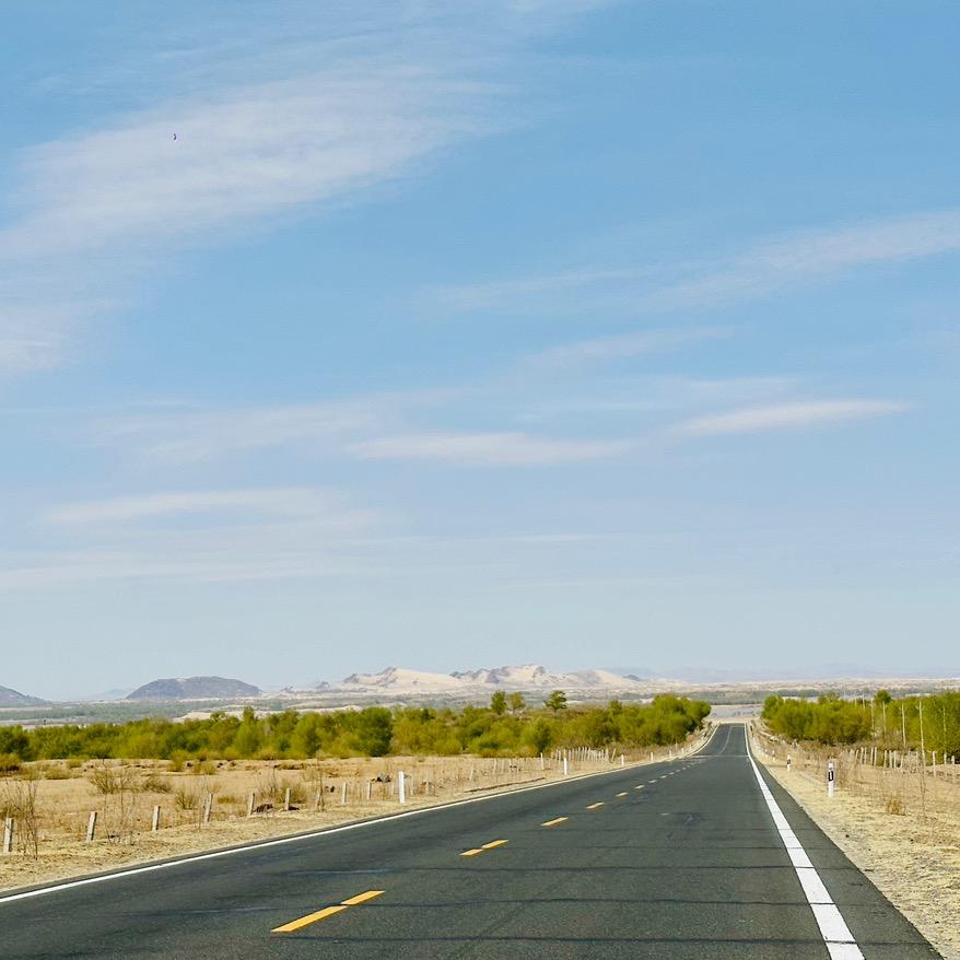 忙里偷闲的单身狗