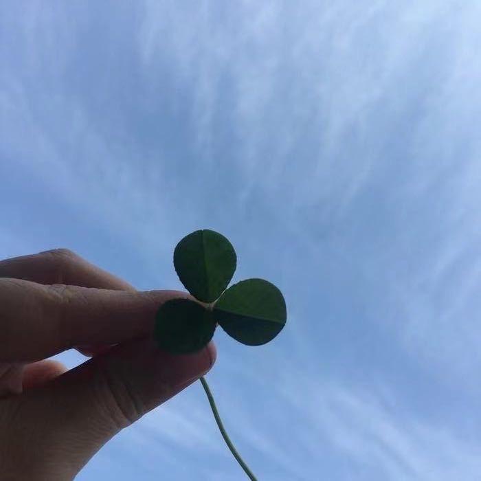 🍀🍀