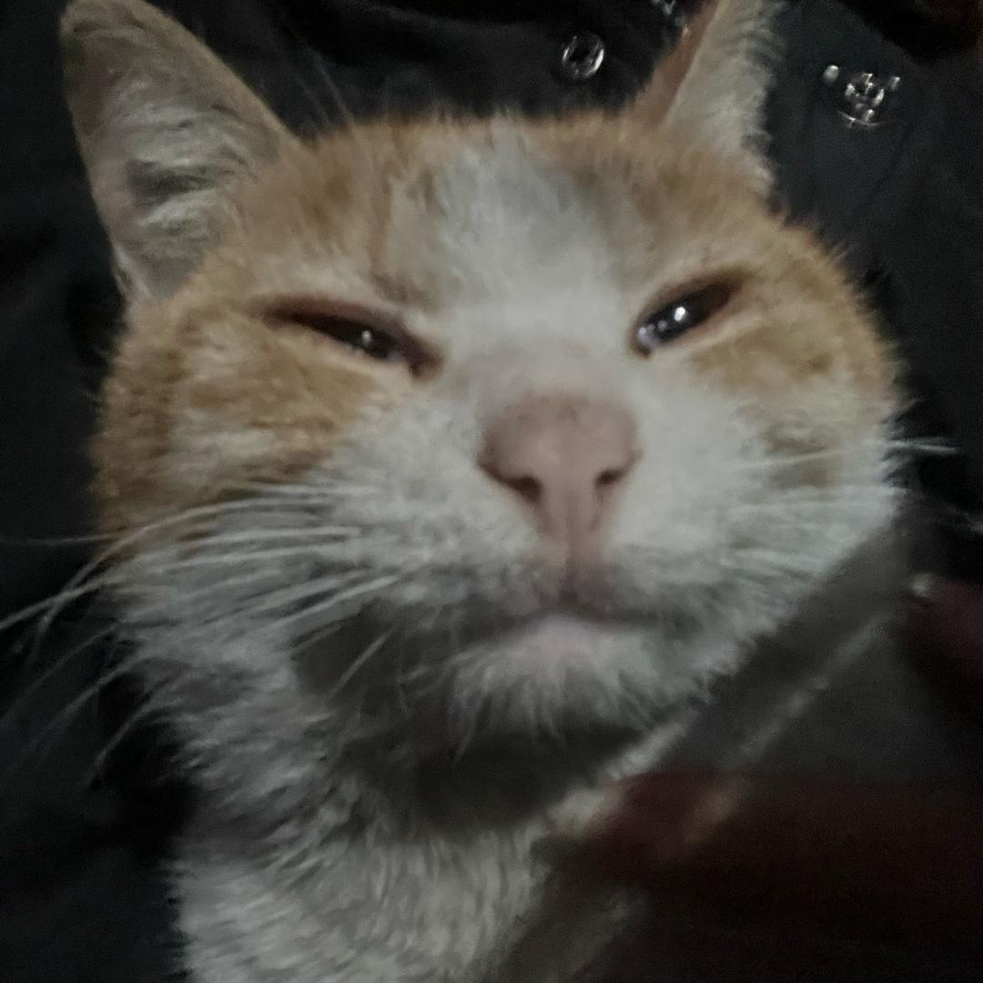 我是可爱多2