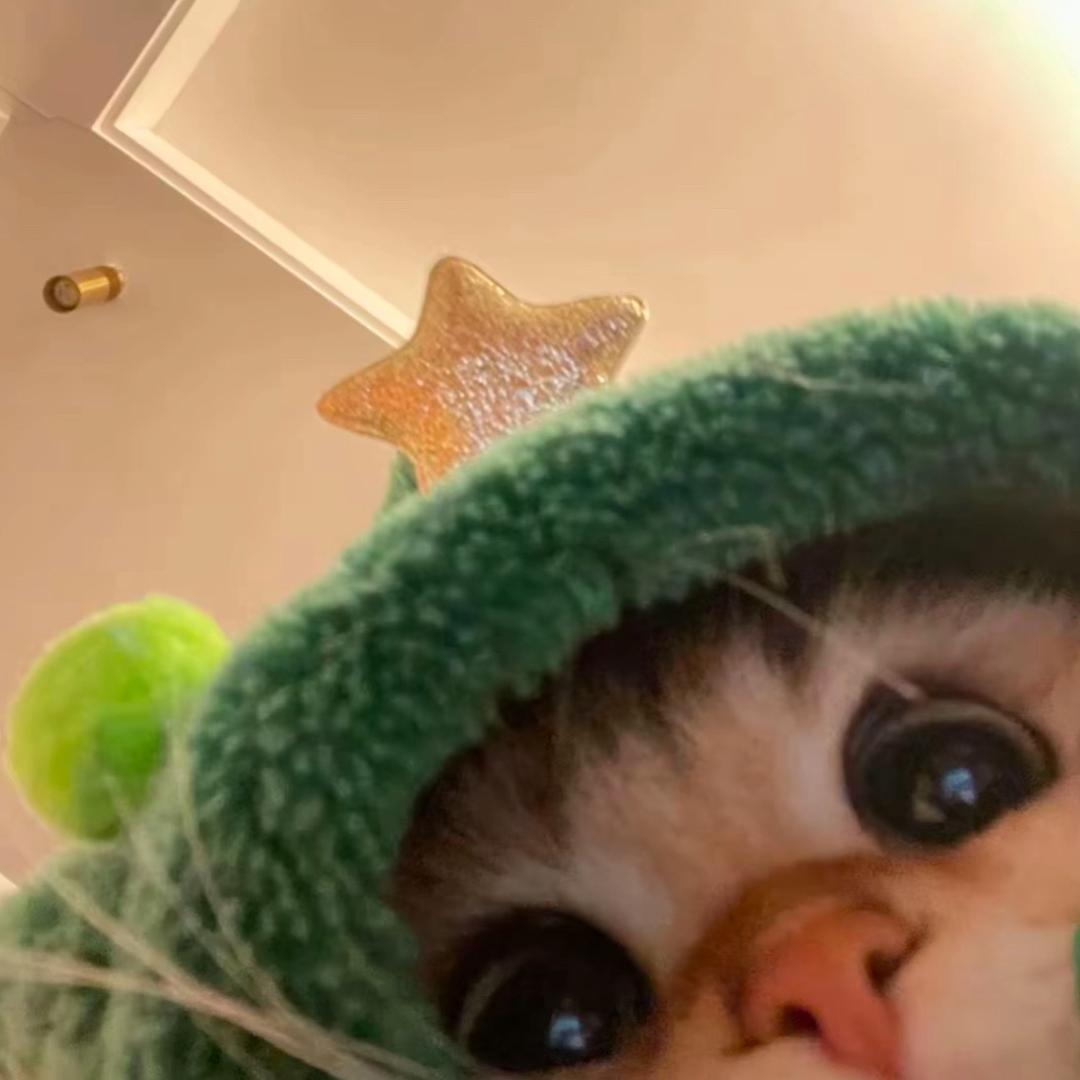 Y-