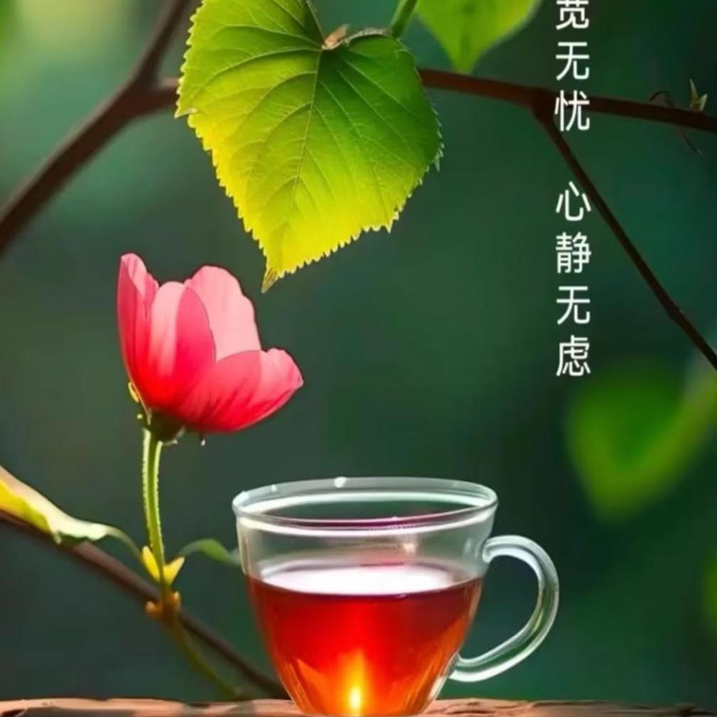 陆梅