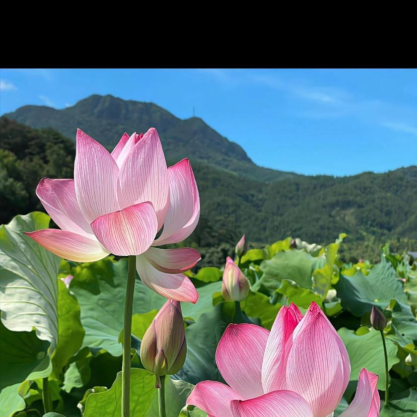 随风爱生活百货