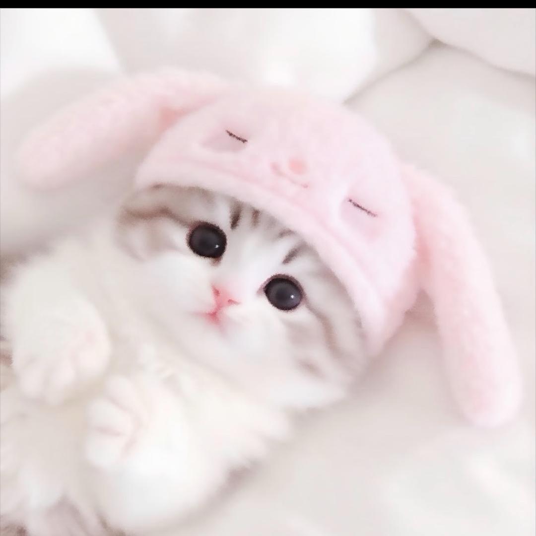 纯纯🥛