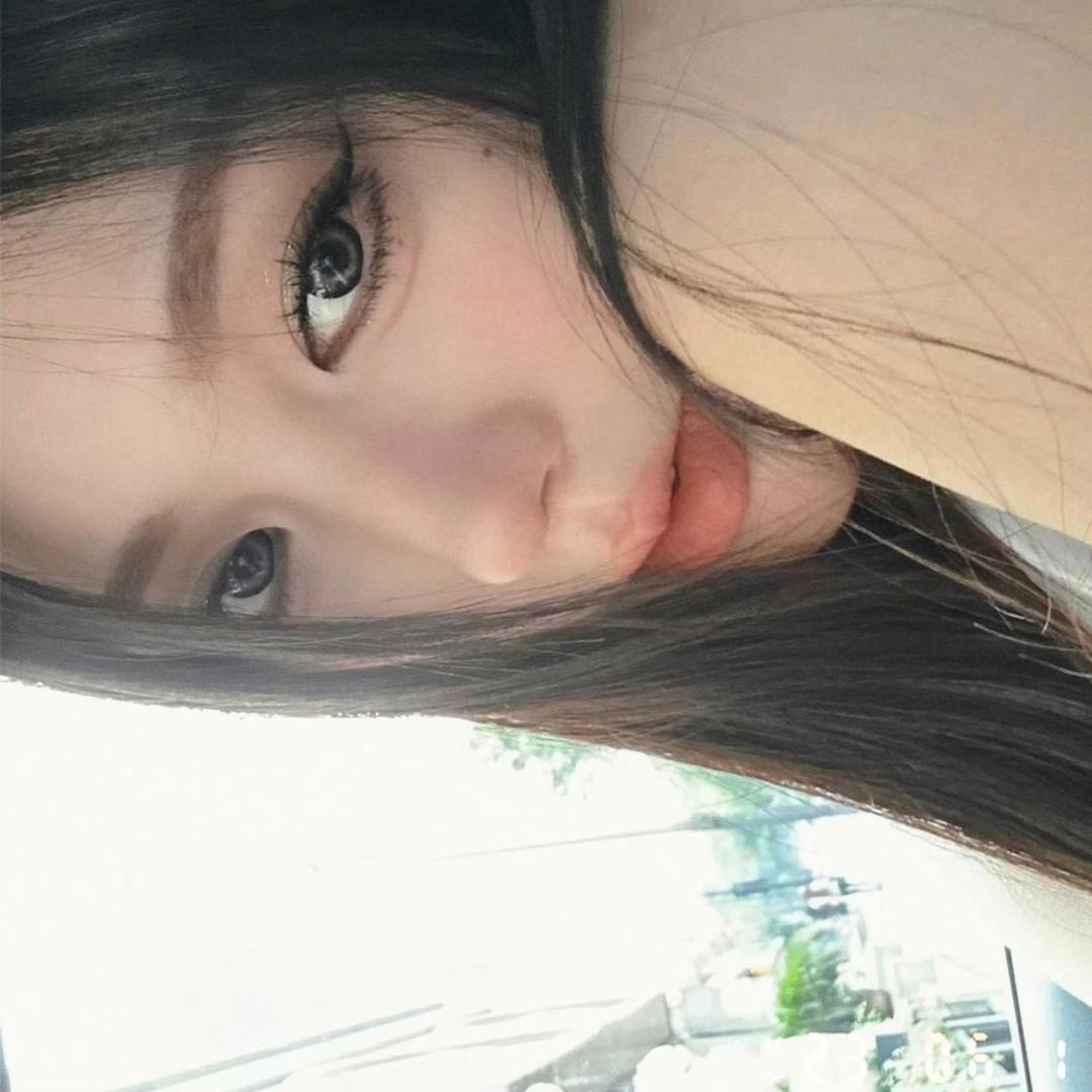龙葵🐾