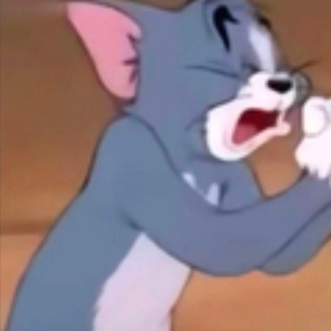 xiaotian（胡巴版）