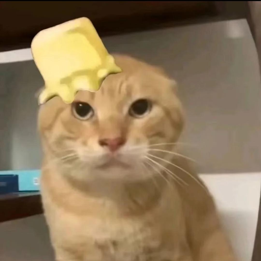 松月喵
