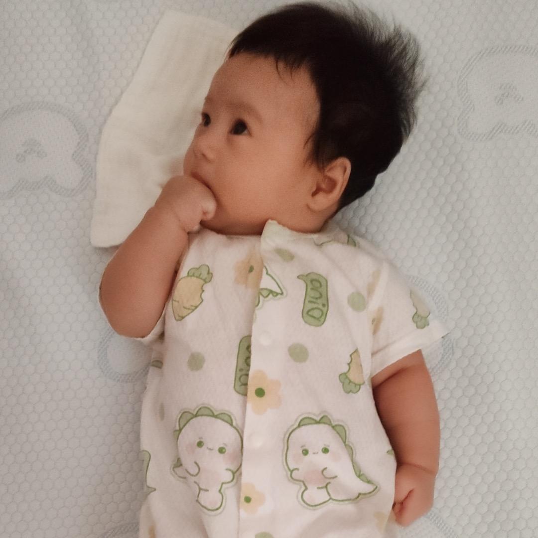 我家小苹果