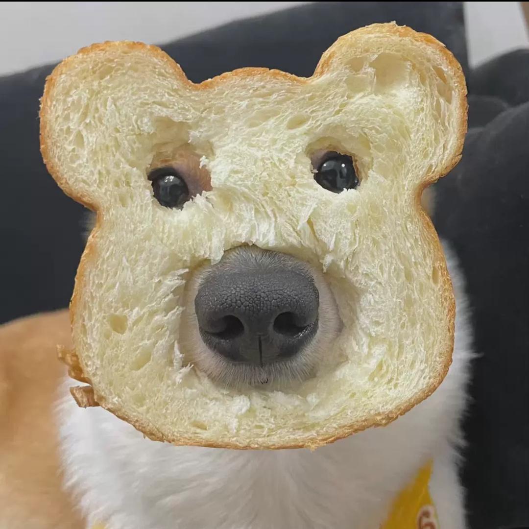 胖呼虎