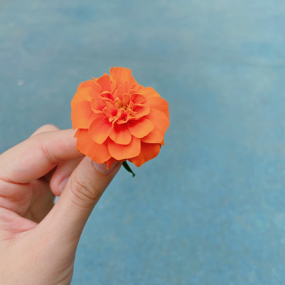 去冰加糖
